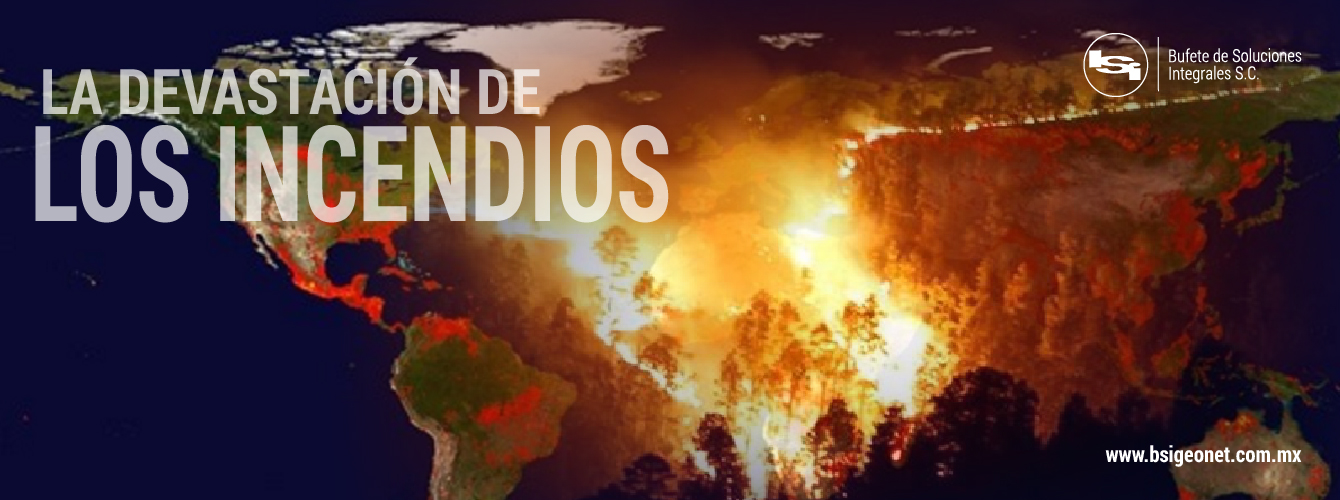 LA DEVASTACIÓN DE LOS INCENDIOS FORESTALES EN MÉXICO