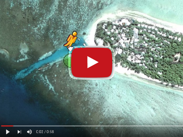 Explore the ocean with Google Maps
