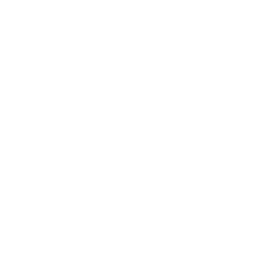 Icono Información